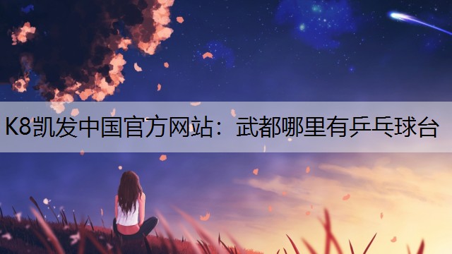 武都哪里有乒乓球台